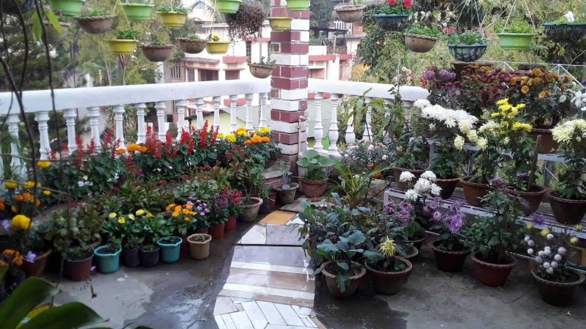 Garden Sit-Out Homestay w/ Healthy Meals, Assam - Guwahati photo 4