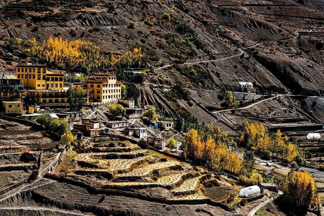 Valley View Homestay w/ Home Meals & Treks, HP in Kaza, HP 1