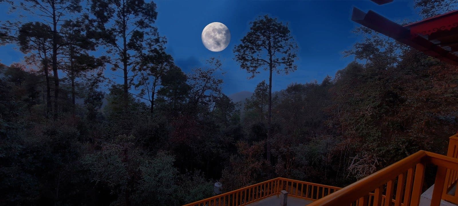 Cozy Homestay in Mukteshwar in Mukteshwar 8