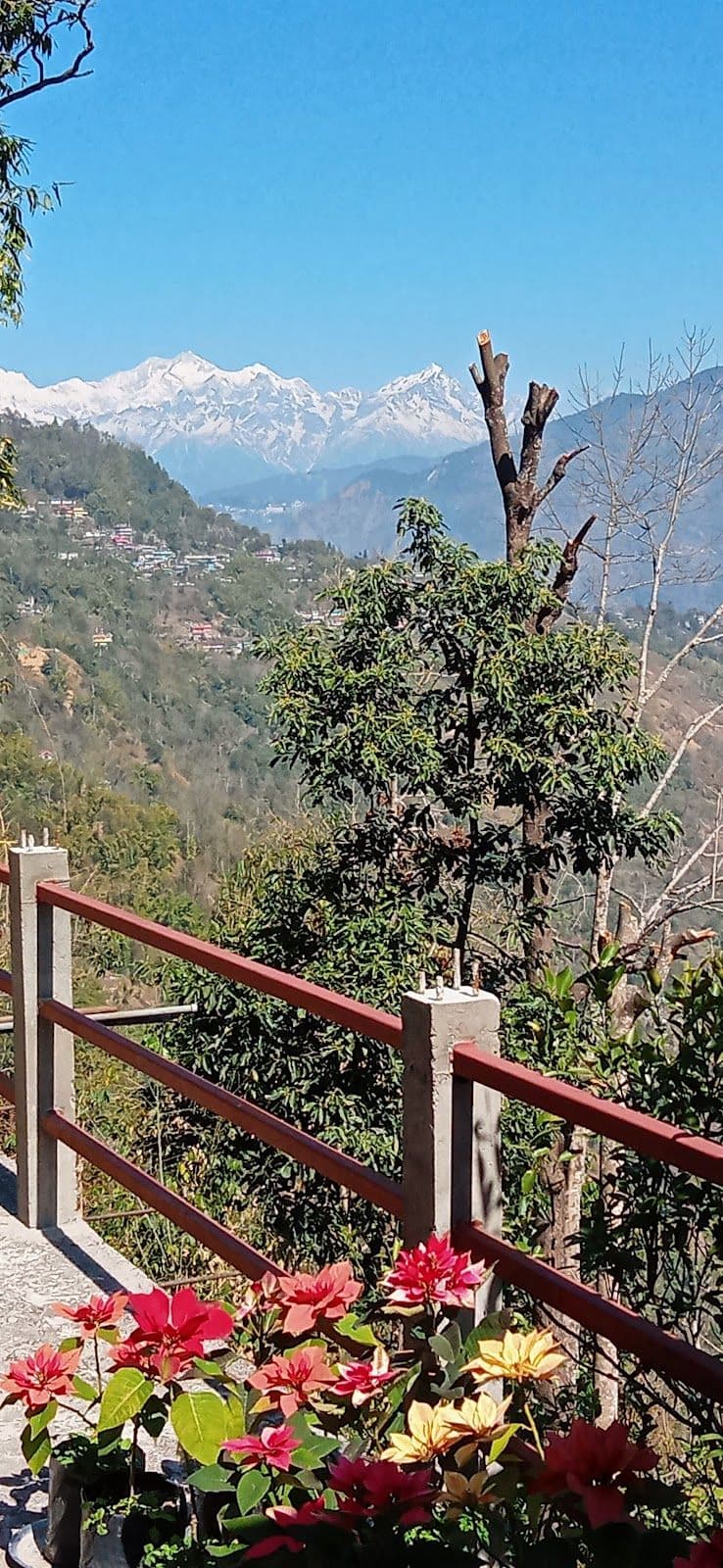 A peaceful escape from the city life. in Darjeeling 8