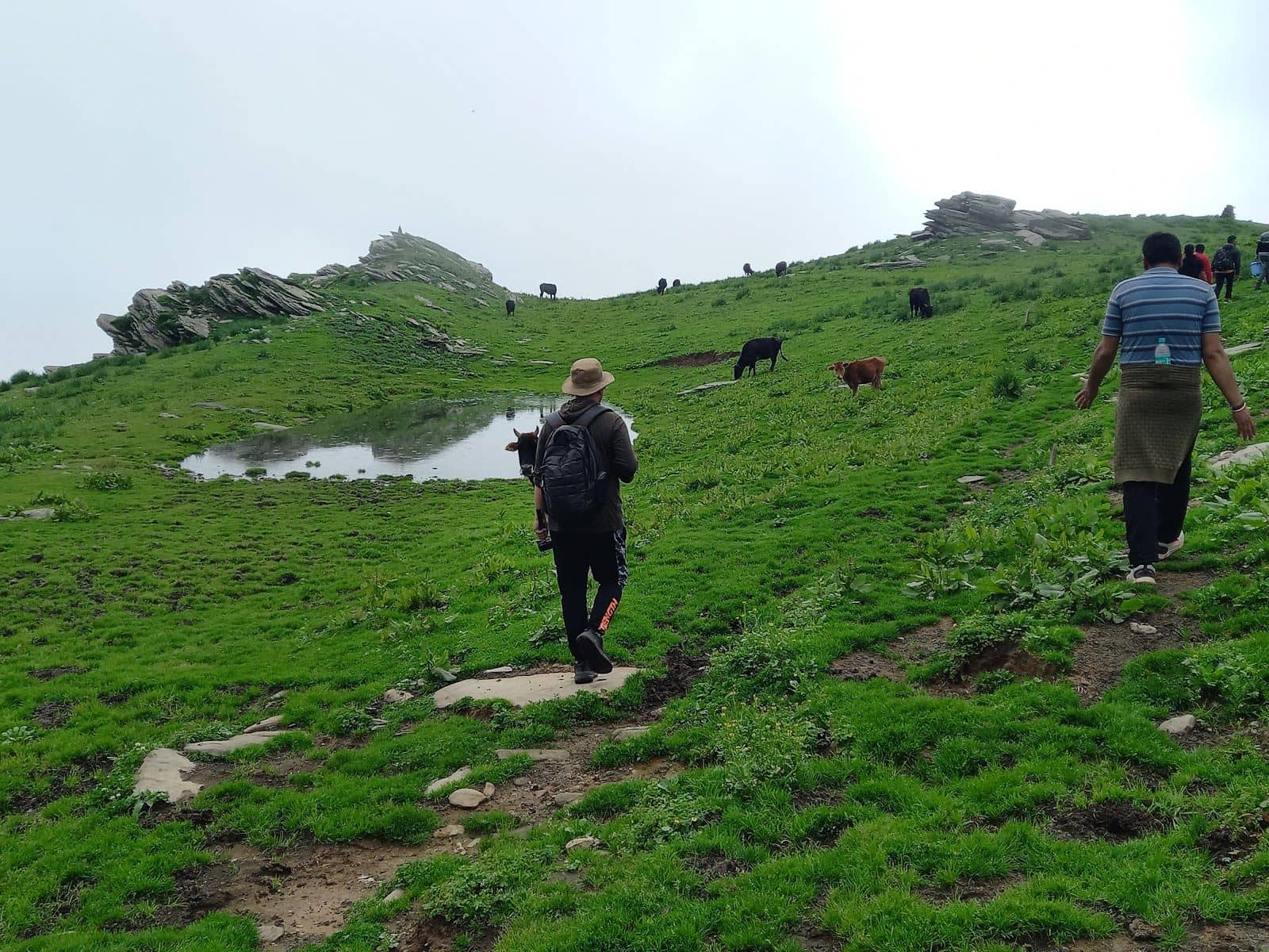 Alpine Tent w/ Mountain Views & Treks, HP - Himachal Pradesh photo 4