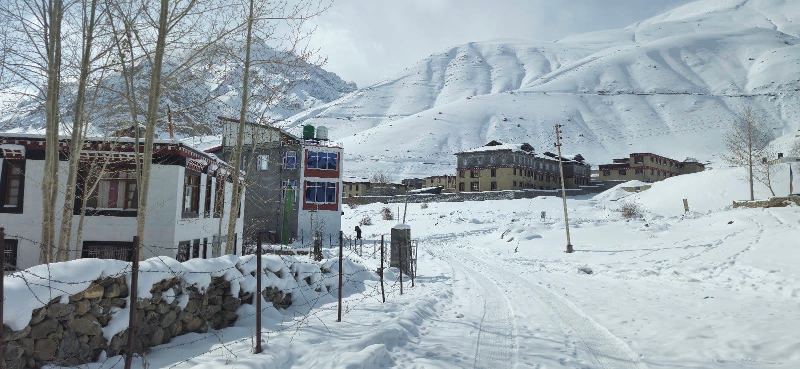 Cozy Homestay in Spiti Valley in Spiti Valley 8