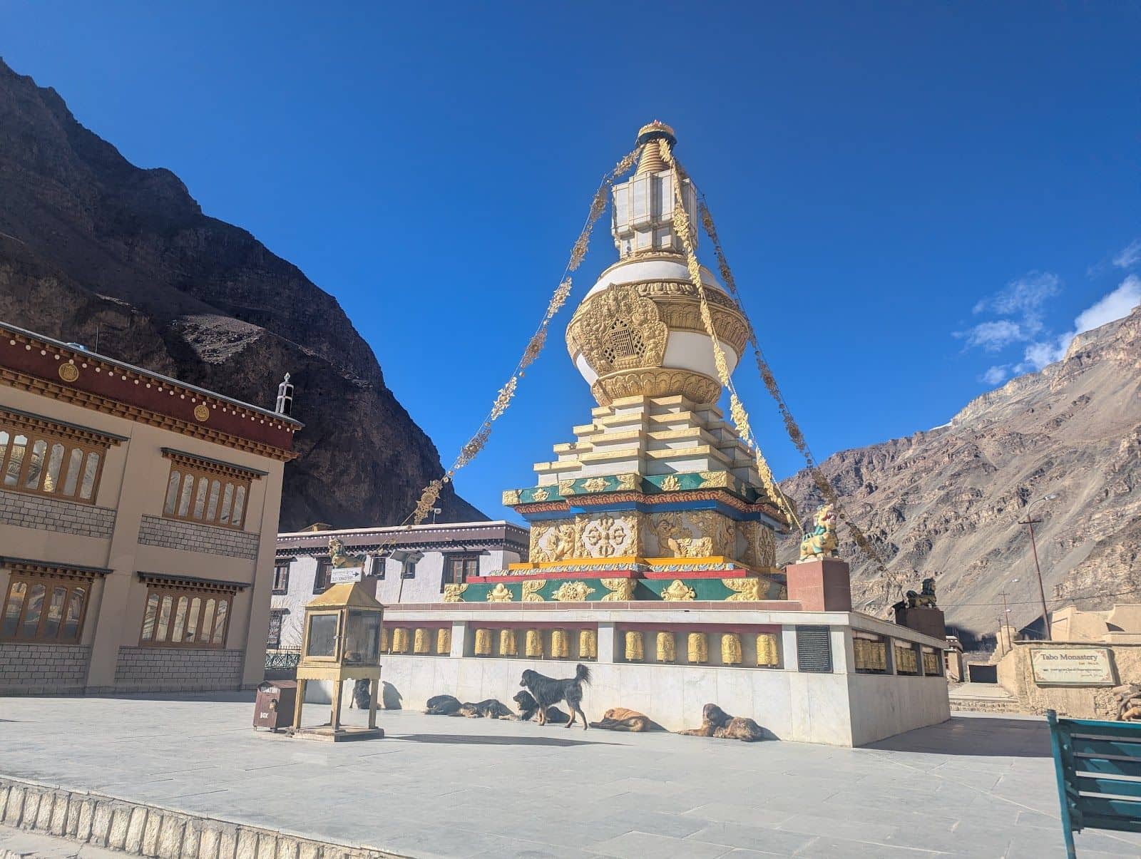 Himalayan Homestay w/ Home Meals & Treks, HP - Tabo, HP