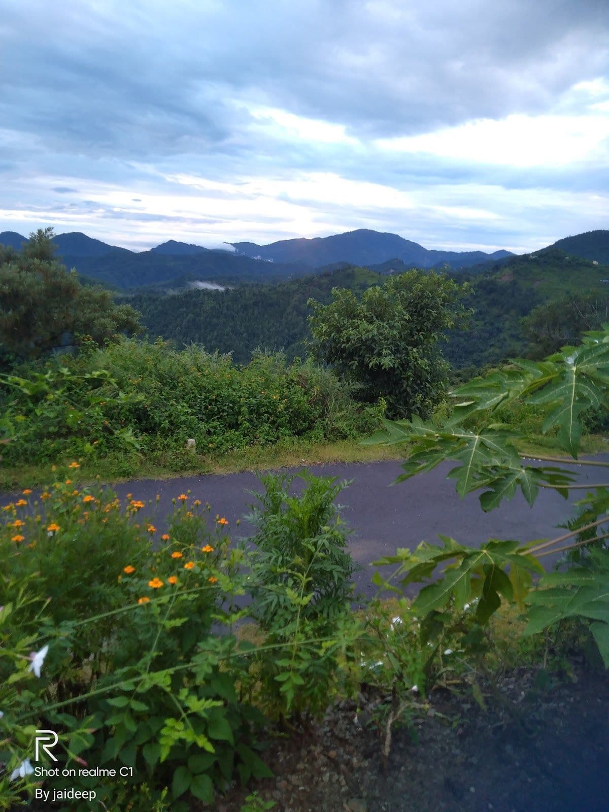 Homestay w/ Green Mountain Views, Uttarakhand in Lansdowne, Uttarakhand 8