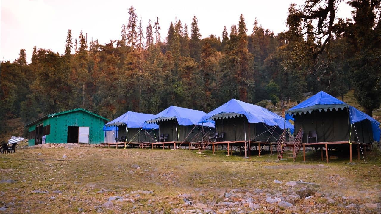 Snowy Peak Tent w/ Trek Access & Meals - Chopta, Uttarakhand