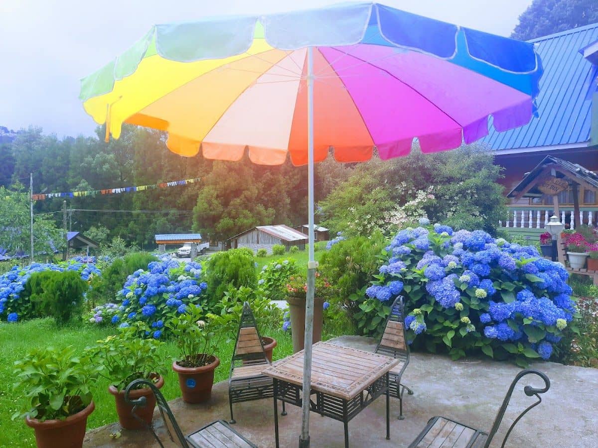 Mountain View Homestay, Himachal Pradesh - Tawang photo 4