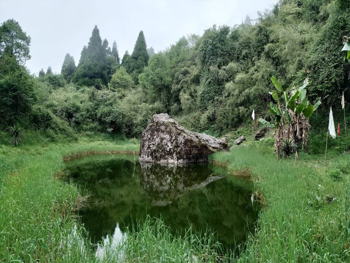WFH from a Sherpa Zero Waste Farm w/ Sunset view - 12 mile, Paschim Busty, Senchal Wildlife Sanctuary photo 3