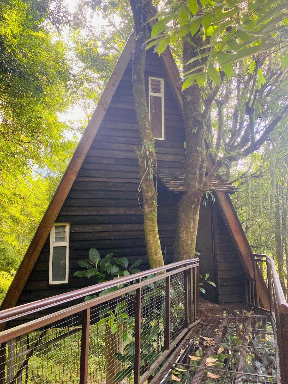 Tree House Homestay w/ Forest Rms & Pizzas, Sikkim in Sikkim, Ravangla 2