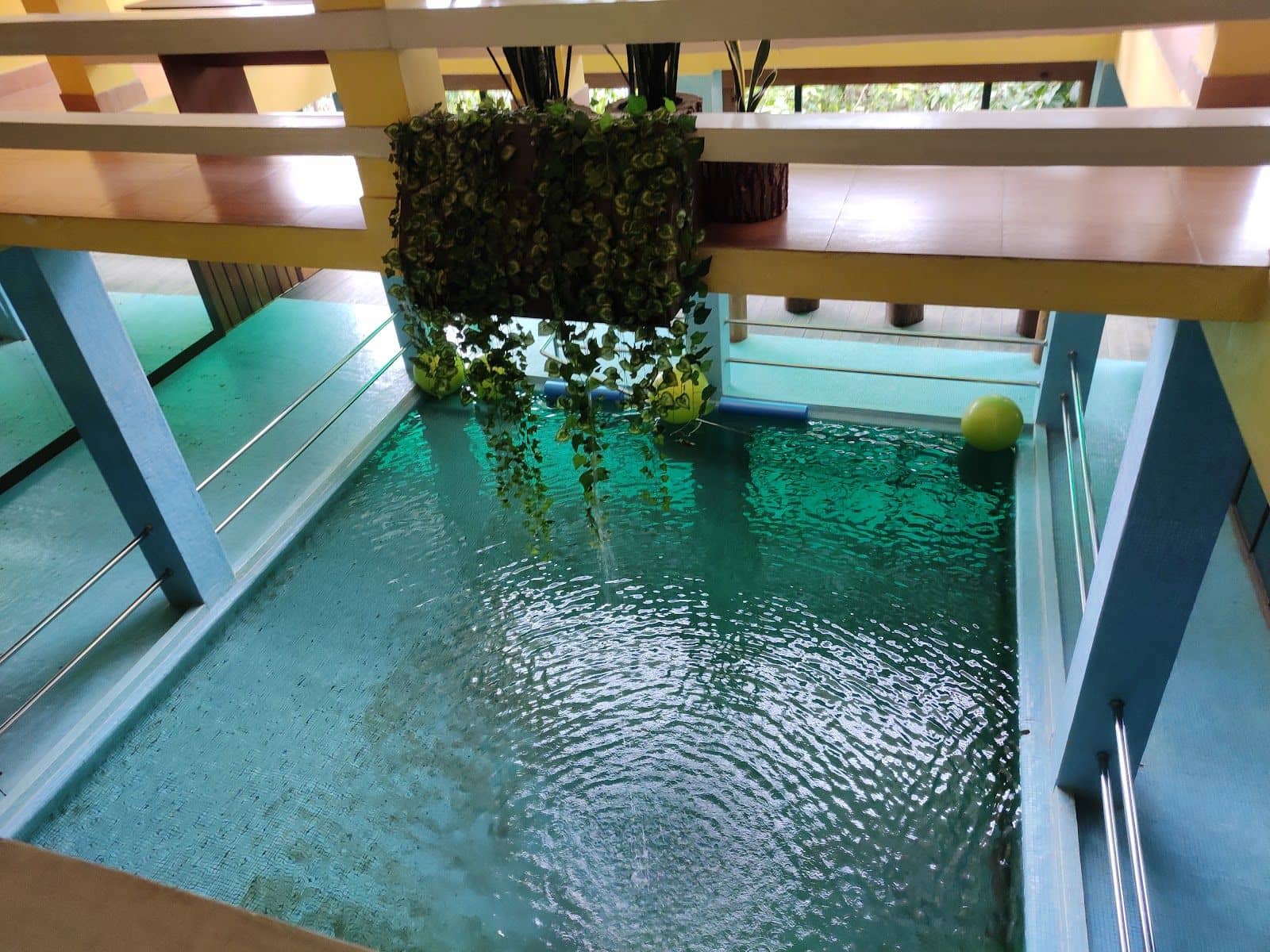 Pudung Farm — ATV, Bathtub, Pool & Mountain Views near Kalimpong - Pudung Khasmahal photo 4