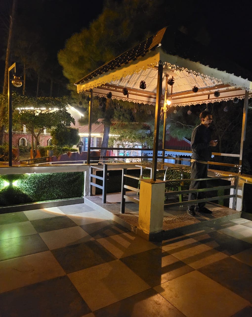 Pine Valley Resort - PVR Kasauli in Kasauli 8
