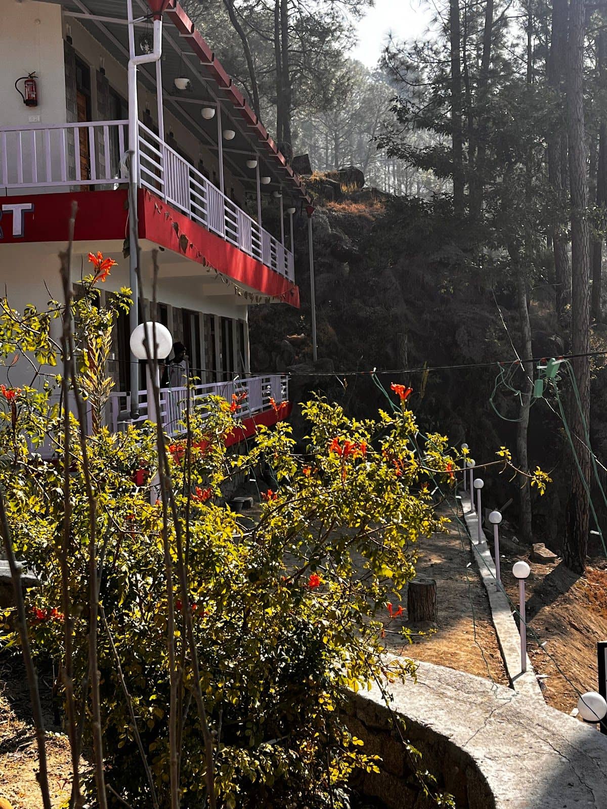 Isolated Homestay w/ Hill Views, Uttarakhand - Deoli, Uttarakhand photo 5