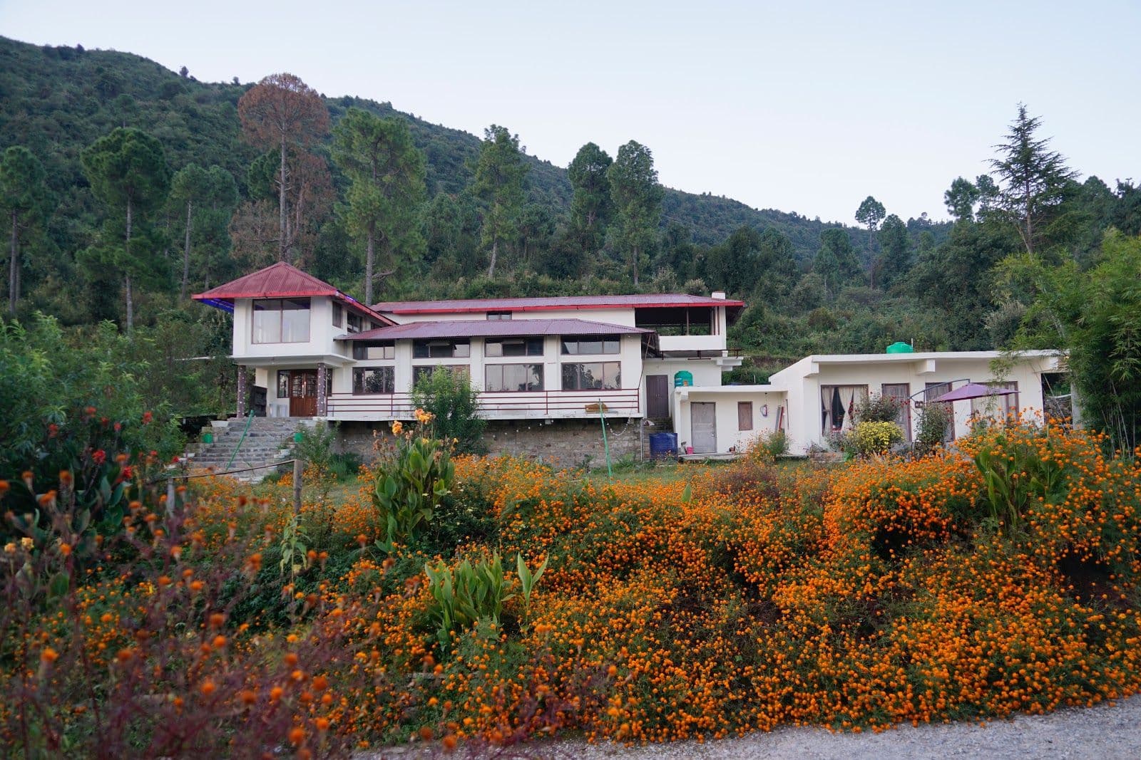 Himalayan Homestay w/ Mountain Views, Uttarakhand in Patal Bhuvaneshwar, Uttarakhand 1