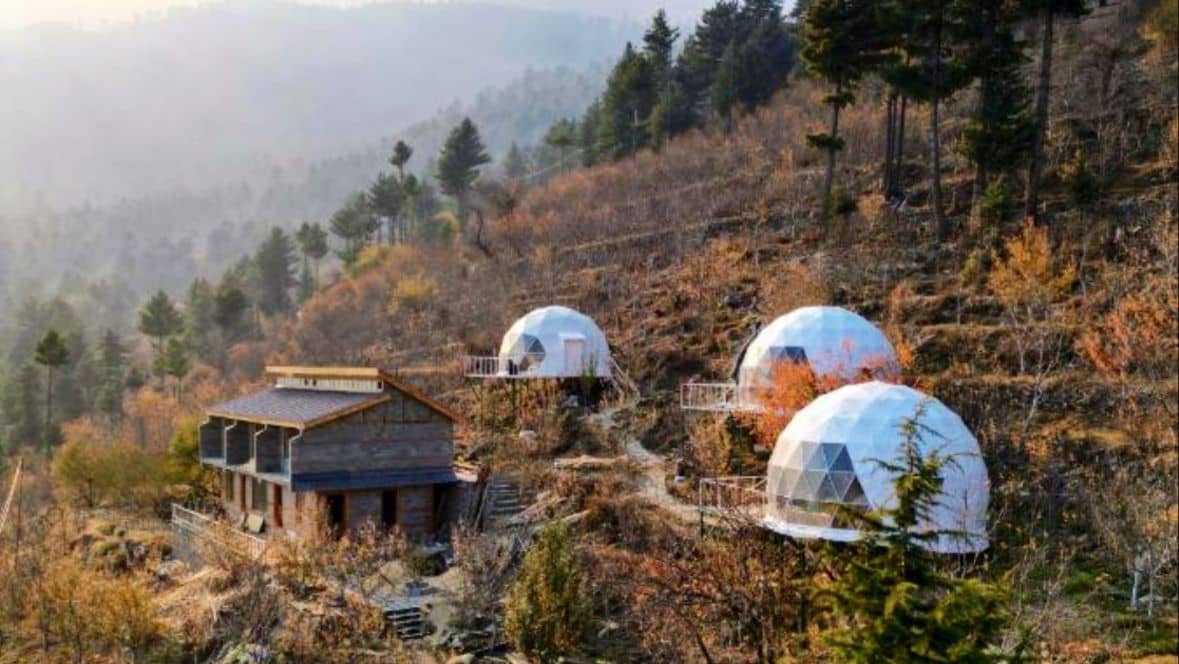 Dome Stay on Hilltop w/ Apple Orchard, HP - Himachal Pradesh photo 5