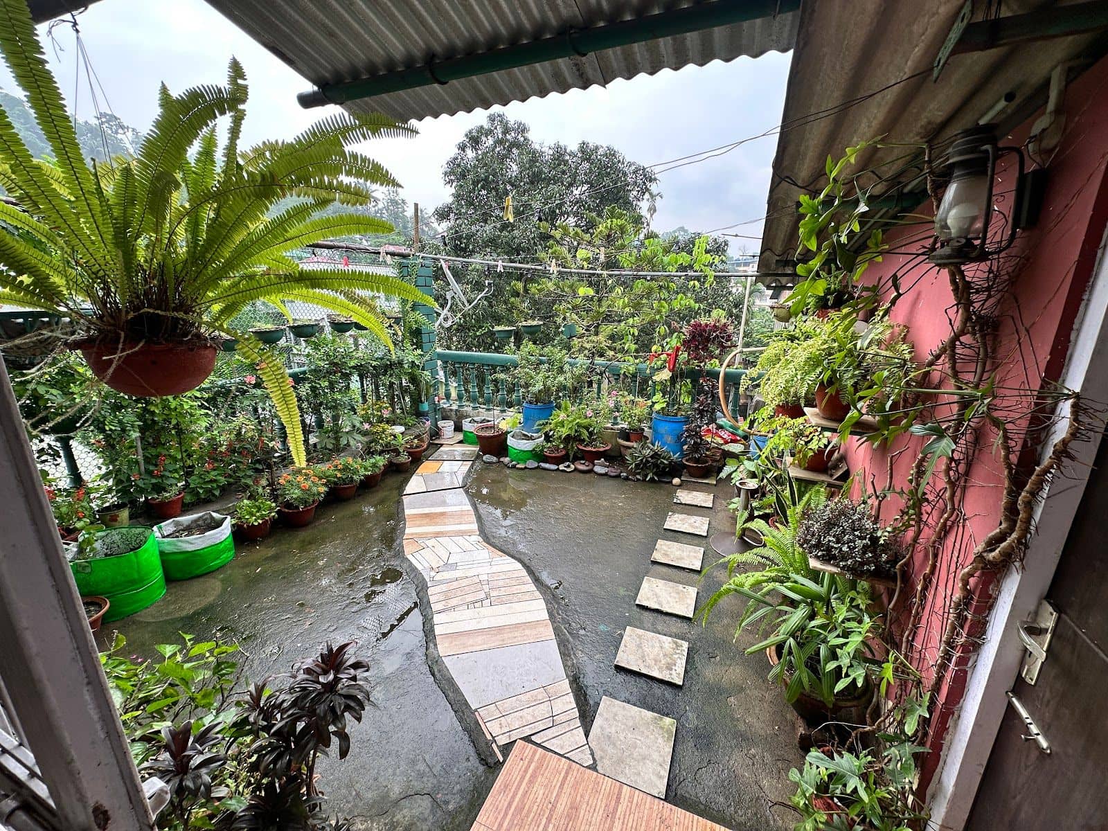 Garden Sit-Out Homestay w/ Healthy Meals, Assam - Guwahati photo 5