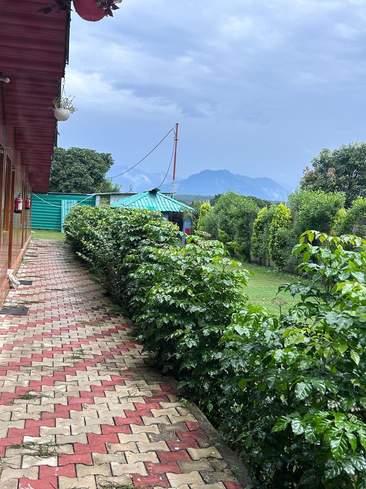 Pet-Friendly Homestay w/ Home Meals, Uttarakhand in Mankandpur, Uttarakhand 8