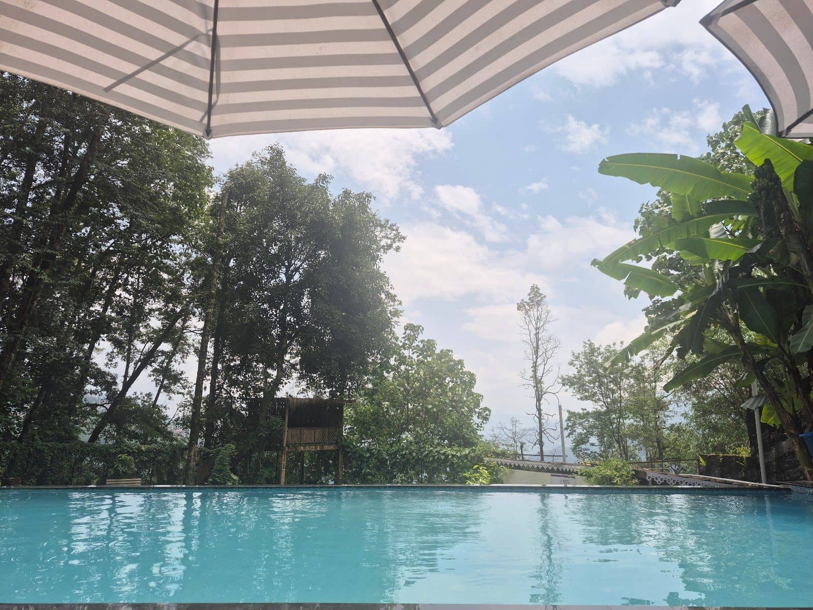 Top-Rated Hospitality & Delicious Food: Pool - Gangtok