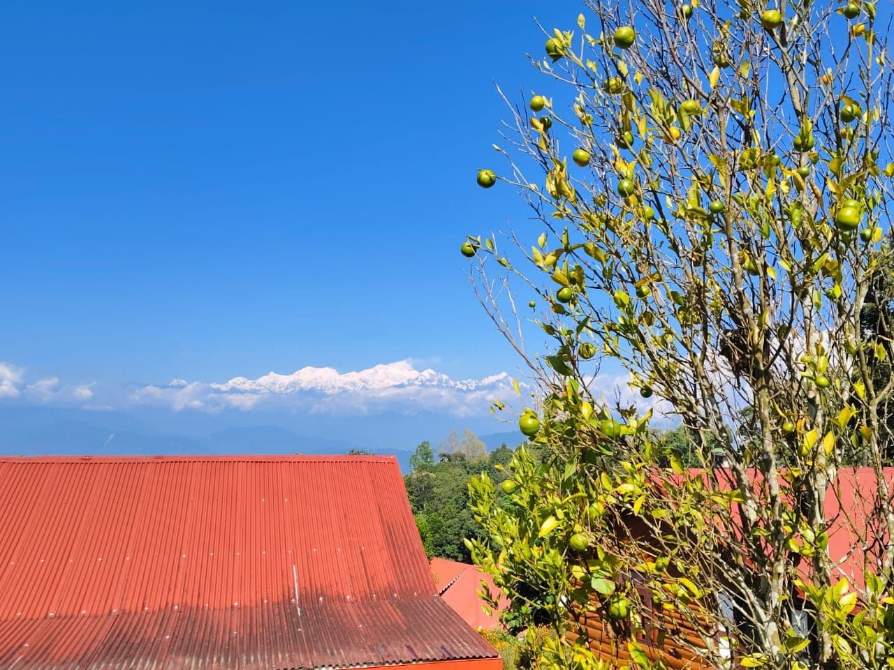Homestay w/ Kanchenjunga Views & Home Meals, WB in West Bengal 8