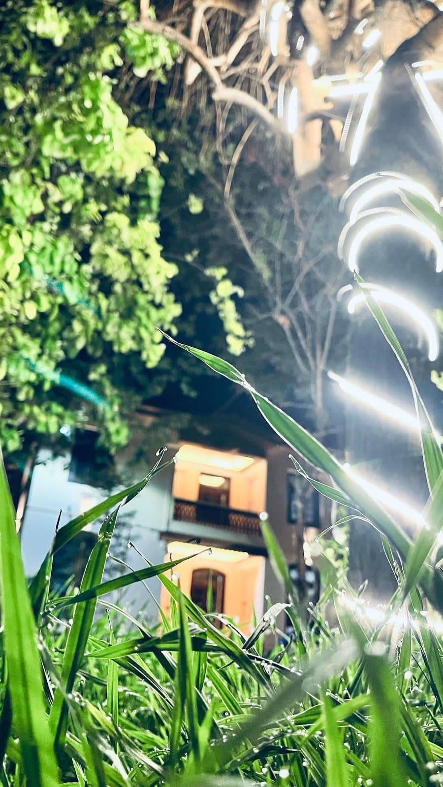 Clean Cottage w/ Home Meals & Shikaras, Kashmir in Srinagar, Kashmir 8