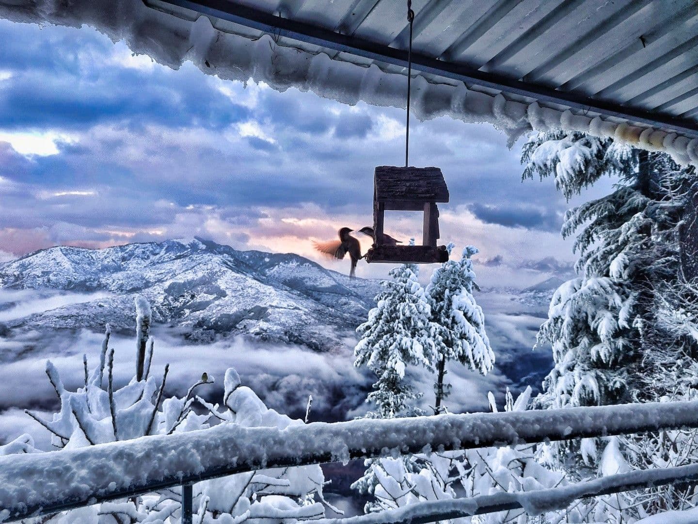 Himalayan Homestay w/ Gourmet Meals & Views, HP in Saroga, HP 8