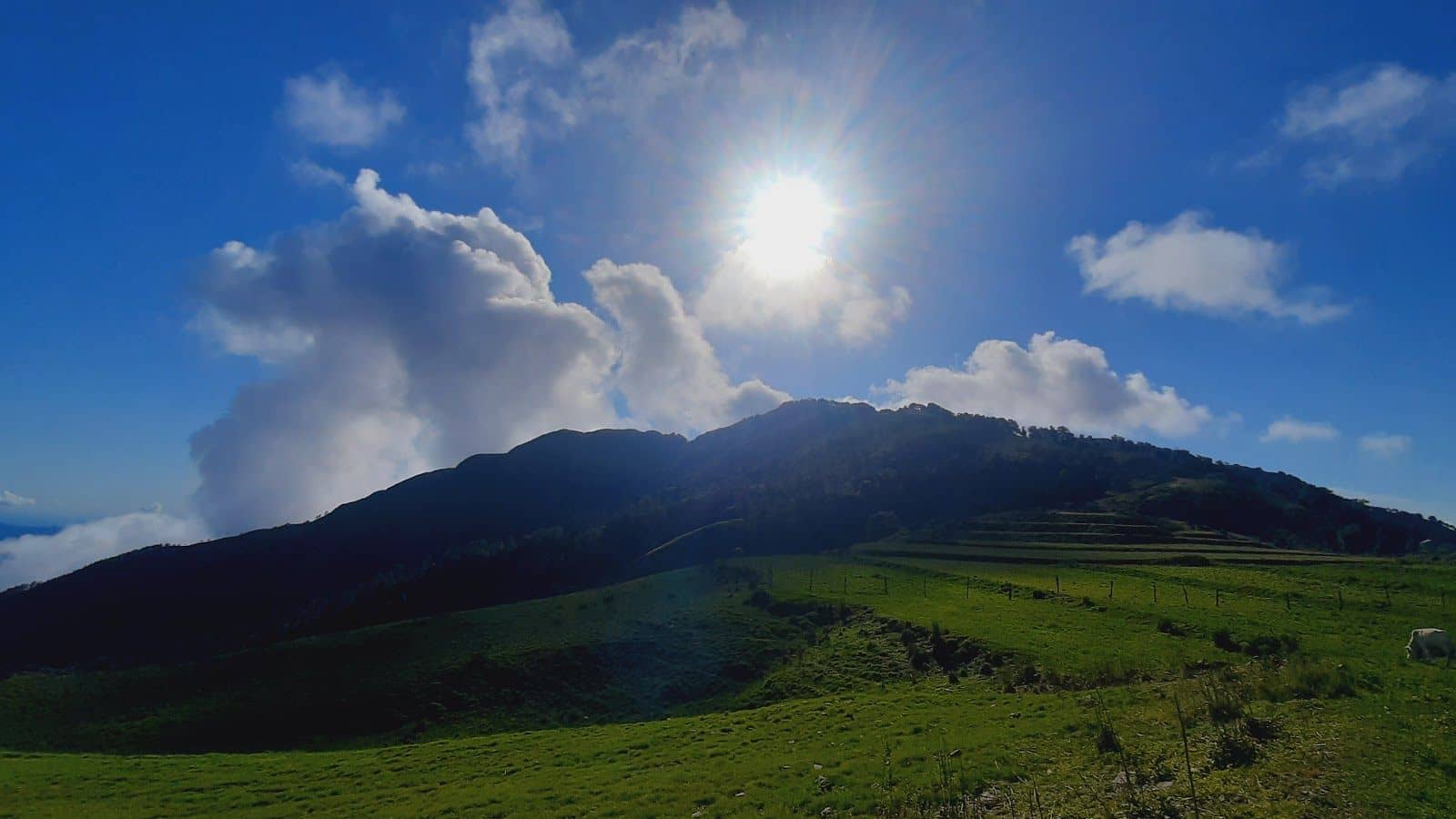 Himalaya View Camp w/ Home Meals, Uttarakhand - Mussoorie Range, Uttarakhand photo 5