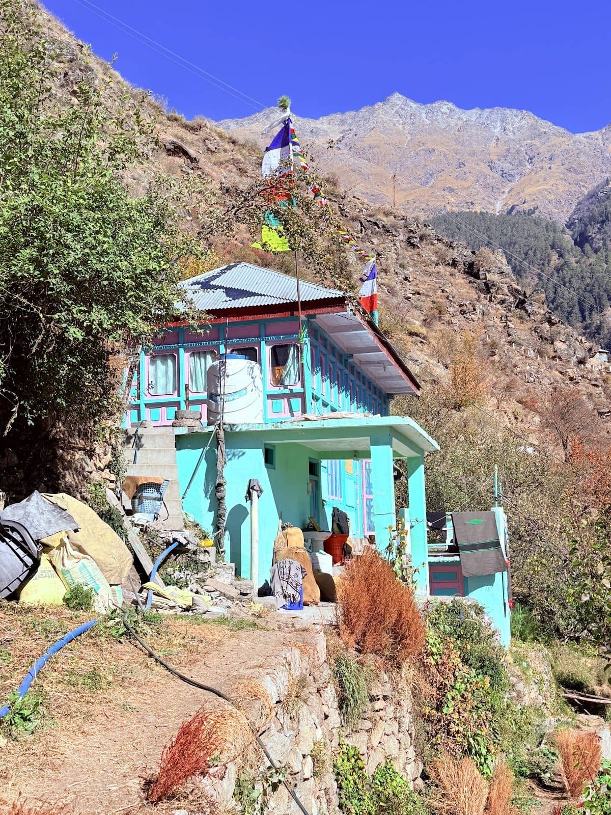 Homely Homestay w/ Home Meals, Himachal Pradesh - Tapri, Himachal Pradesh