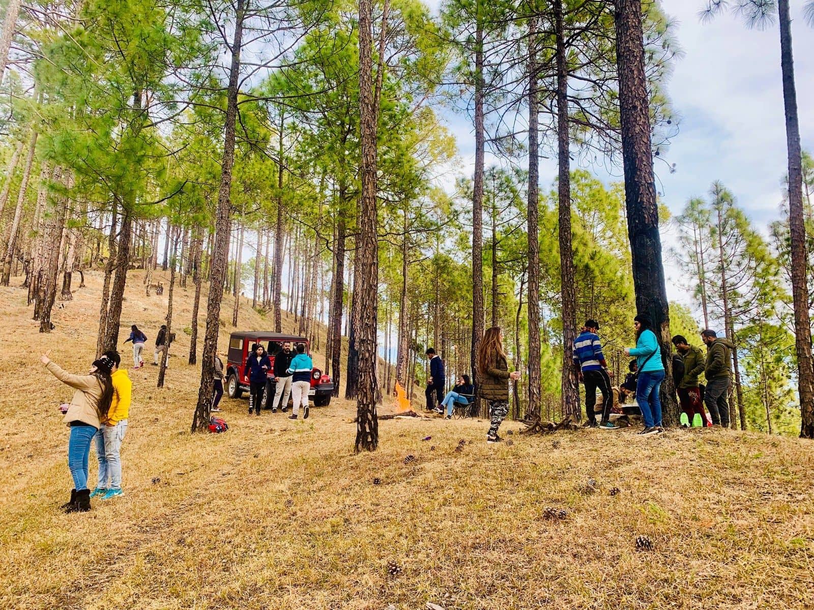 Cozy Homestay in Kausani - Kausani photo 4