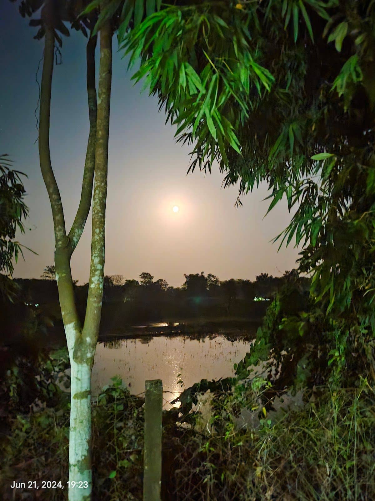 Wildlife Cottages near Manas NP, Assam - Assam photo 5