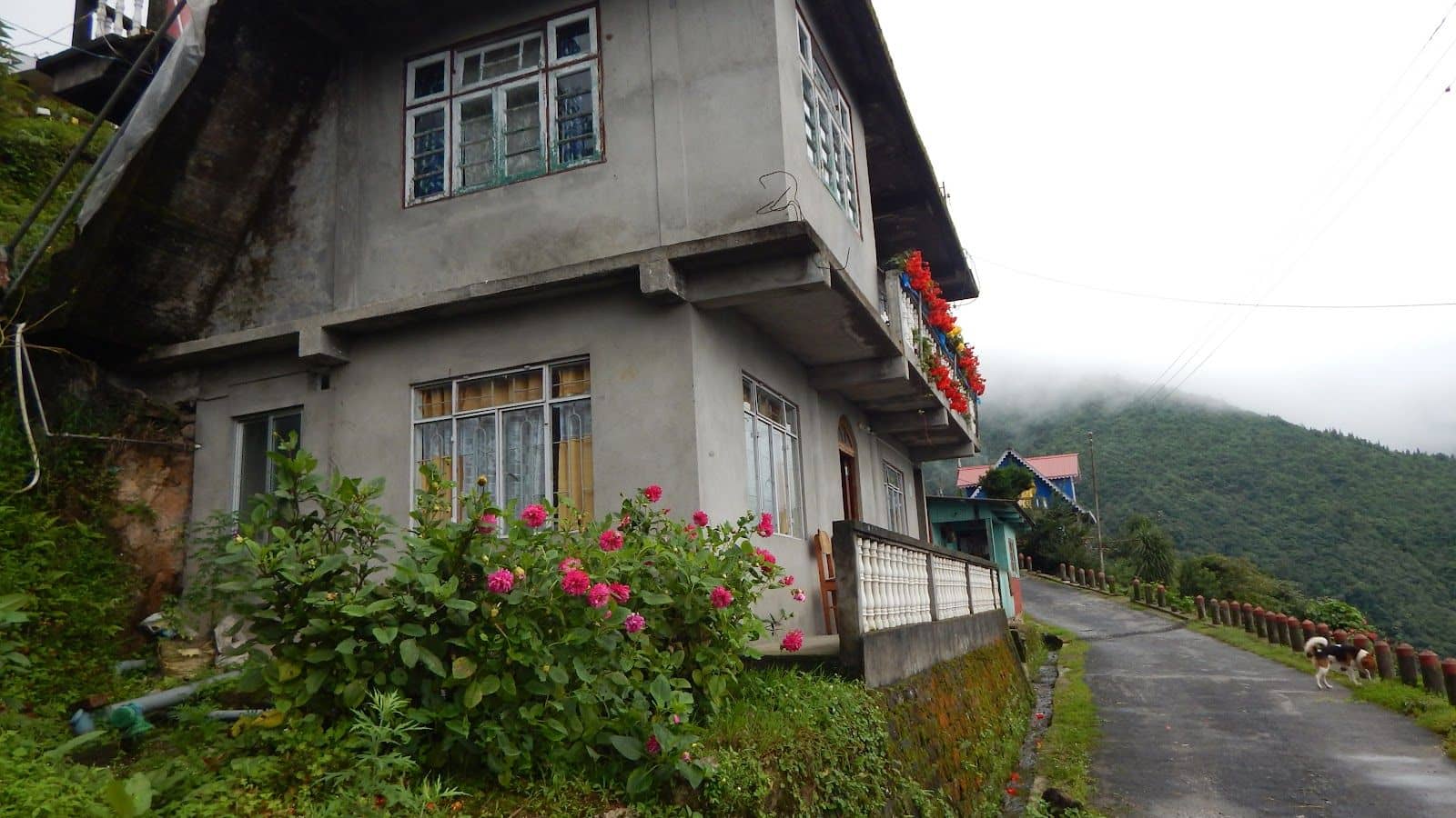 Tranquil Retreat in the Heart of Darjeeling Hills - Darjeeling