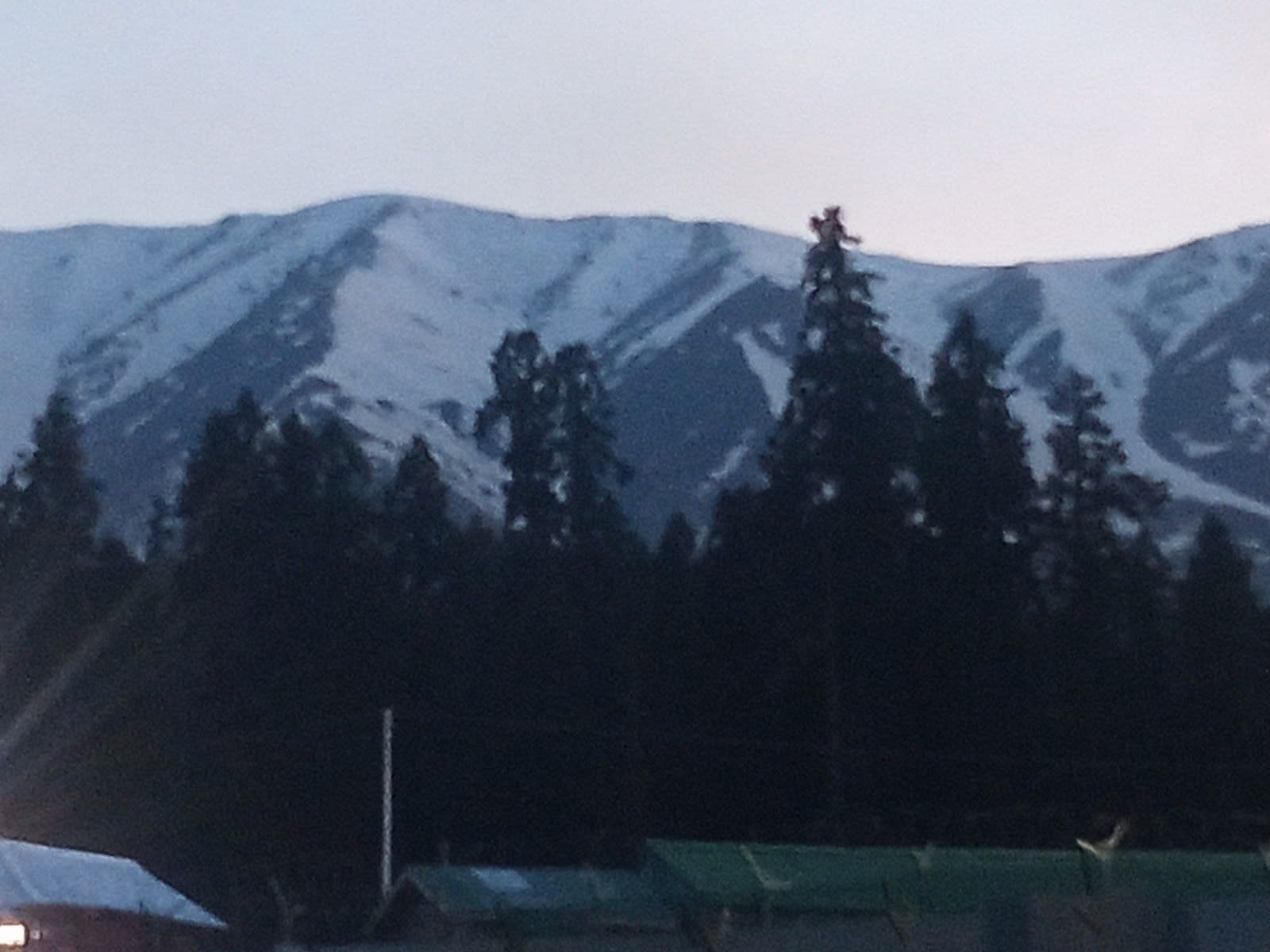 Golf Course Cottage w/ Home Meals & Heaters, J&K in Gulmarg, J&K 8