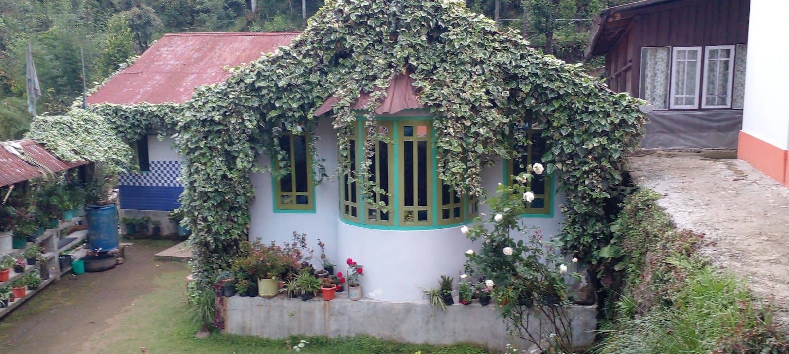 Auth Village Homestay w/ Organic Food, Sikkim - Yuksom, Sikkim