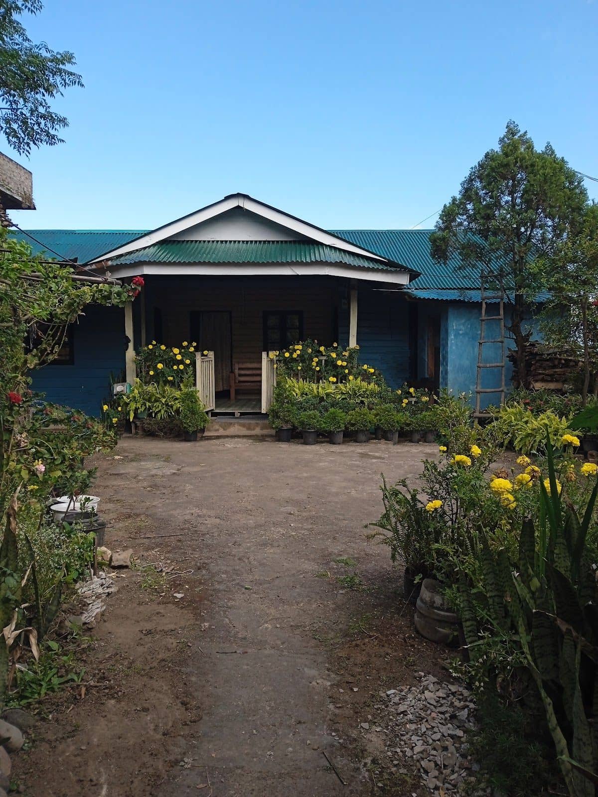 Women-Run Naga Cultural Homestay w/Veg Meals - Dzukou Valley