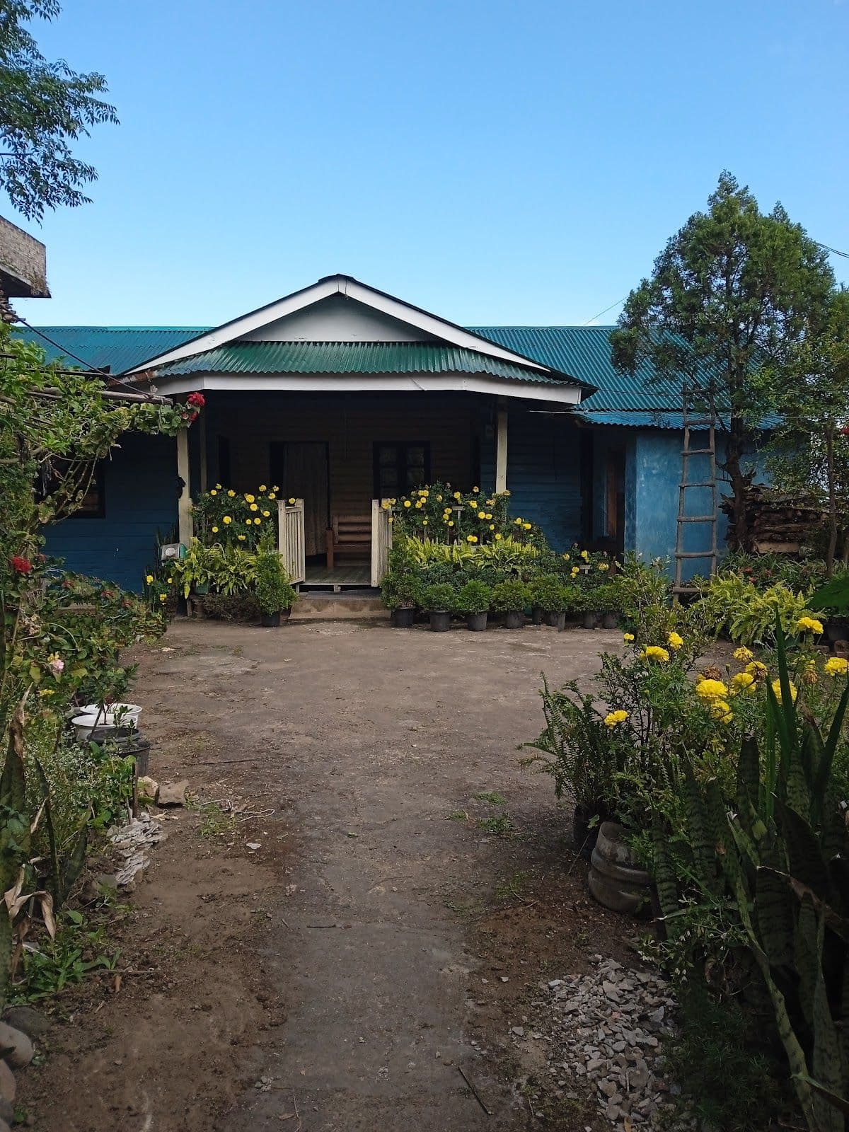 Women-Run Naga Cultural Homestay w/Veg Meals in Dzukou Valley 1