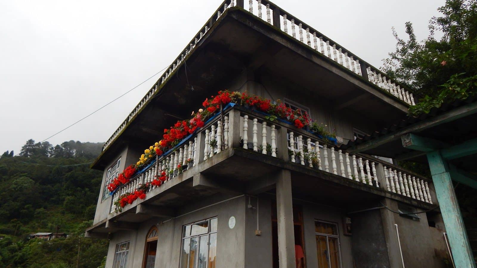 Tranquil Retreat in the Heart of Darjeeling Hills - Darjeeling photo 5