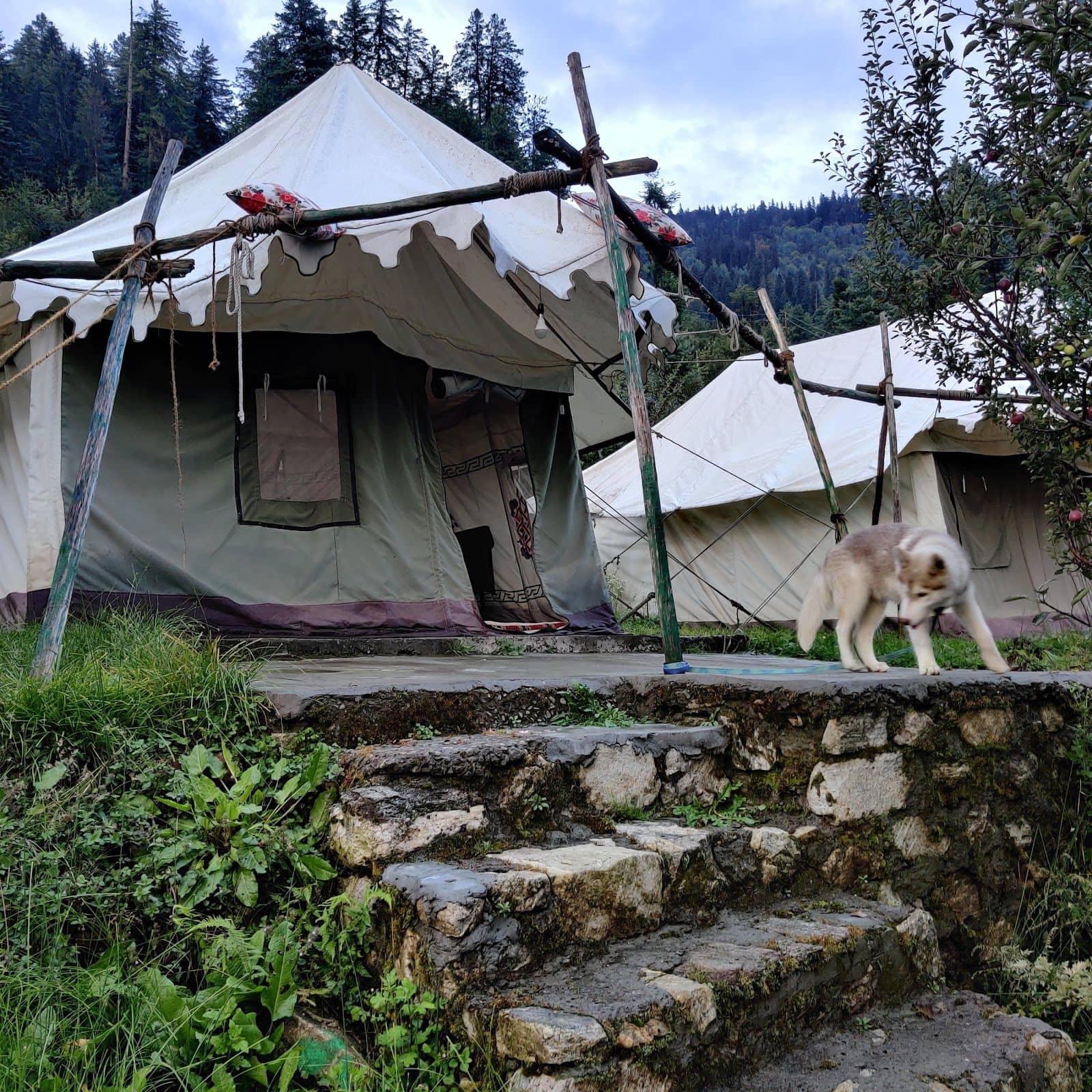 Alpine Tent w/ Mountain Views & Treks, HP - Himachal Pradesh