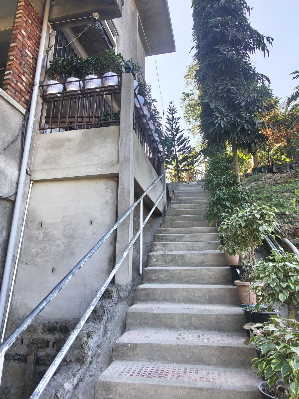 Homestay w/ Home Hospitality, Mizoram in Mizoram, Aizawl 8