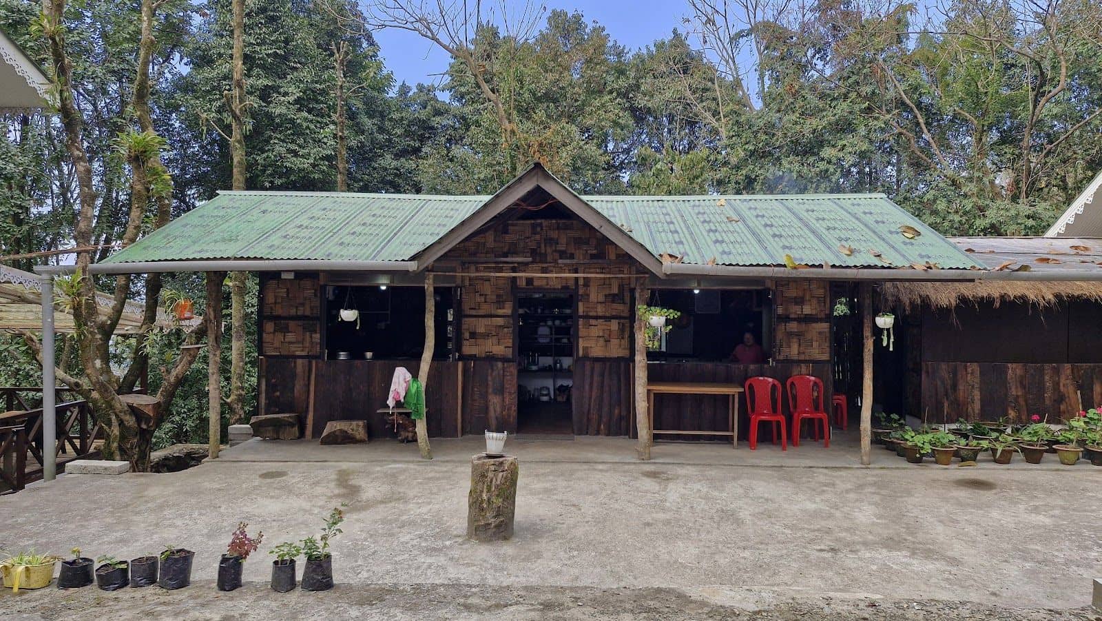 Tree House Homestay w/ Forest Rms & Pizzas, Sikkim - Sikkim, Ravangla photo 4