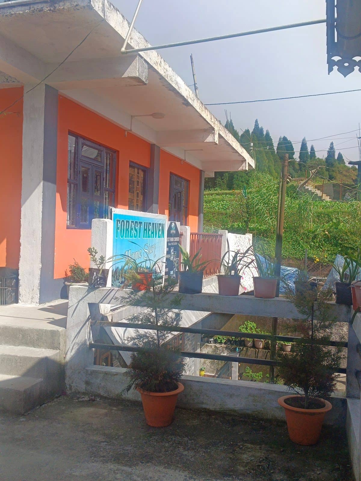 The Ultimate Cozy Escape for Nature Lovers - Kurseong