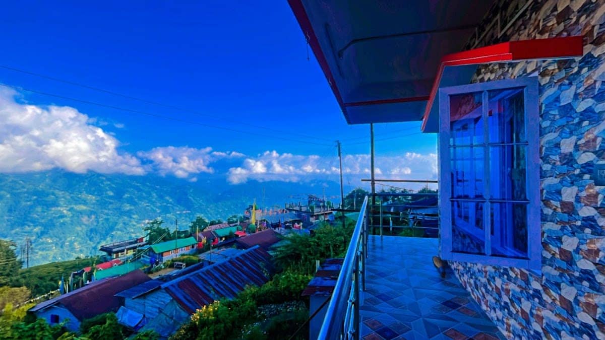 Perfect blend of Tea garden and Kanchenjunga - Mim Tea Garden photo 5