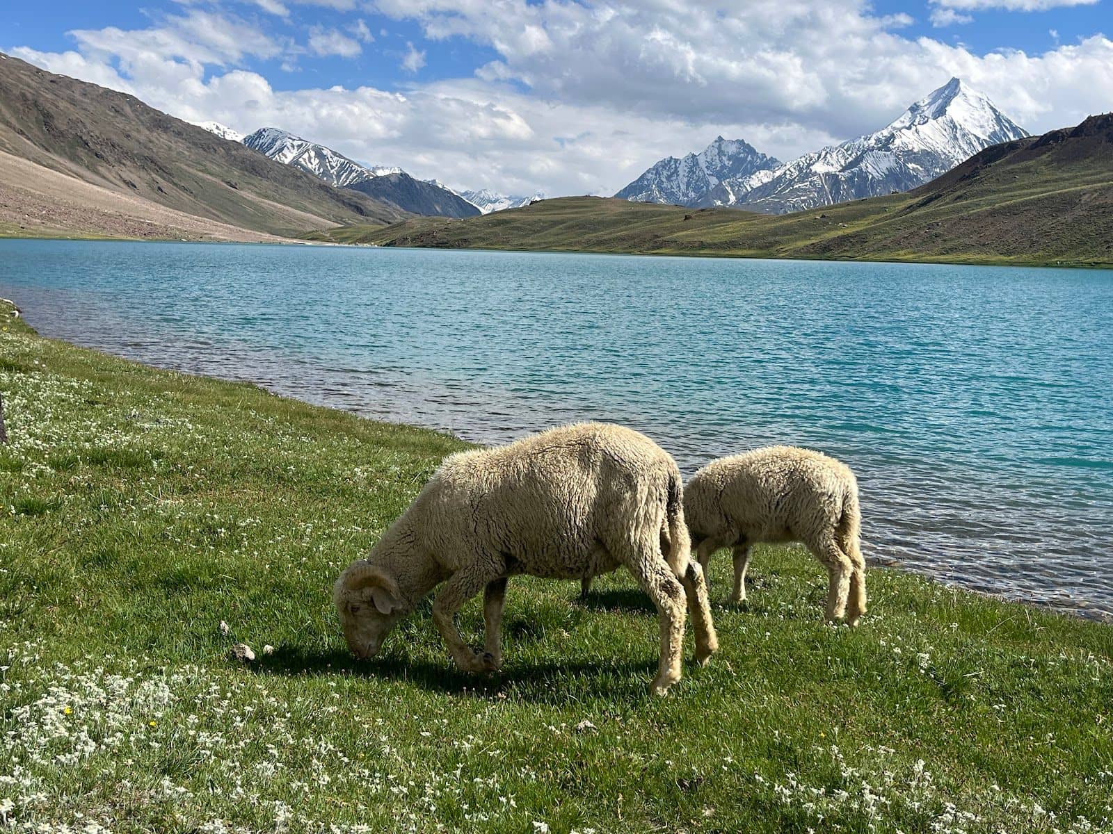 Clean Rooms Homestay, Main Market Kaza, HP - Kaza, HP photo 3