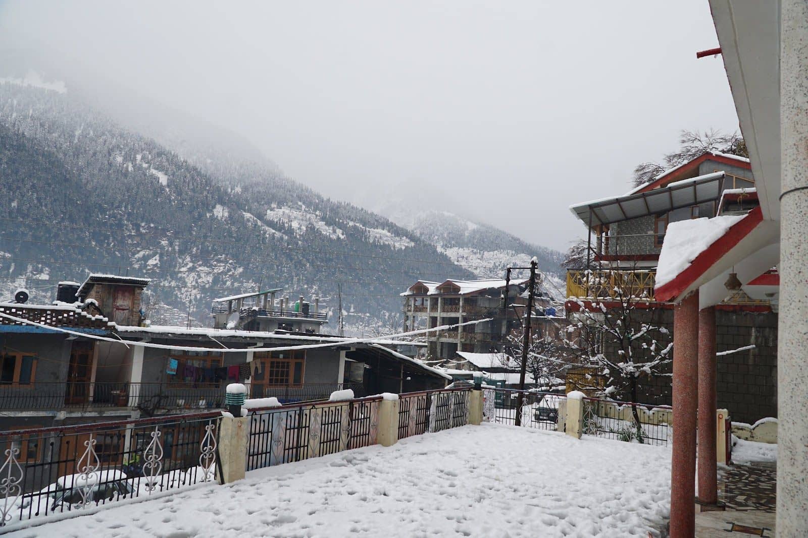 Homestay w/ Home Meals & Playful Dog, HP - Manali, HP photo 5