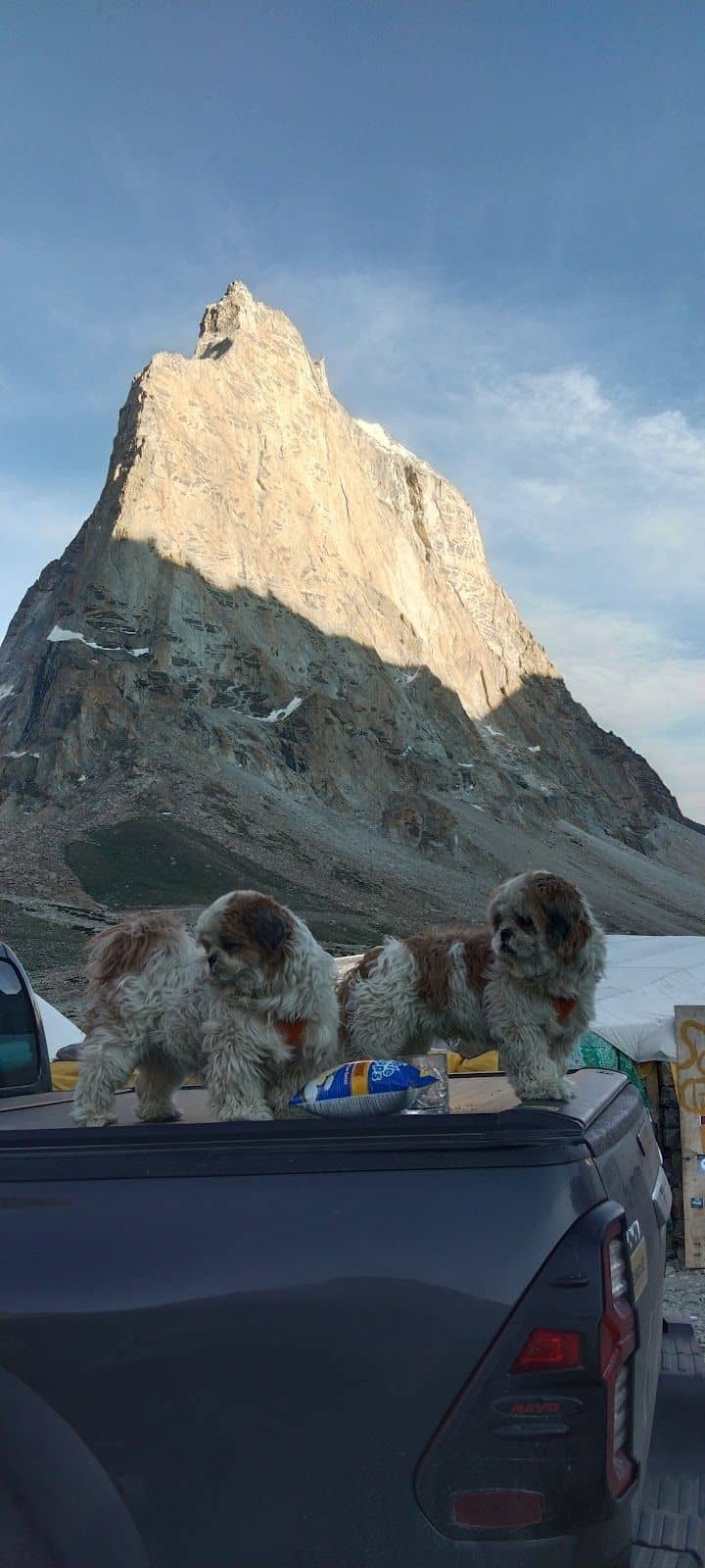 Mountain Tent Camp w/ Starry Skies, Ladakh - Kurgiakh, Ladakh photo 3