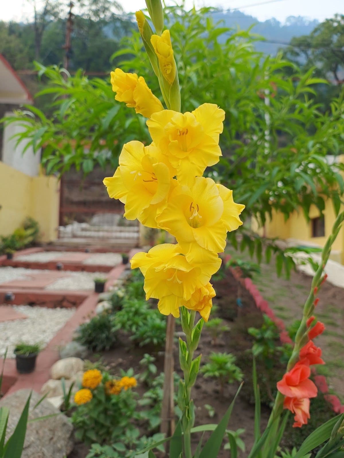 Swiss Tent Cottages by River Ganga, Uttarakhand in Uttarkashi, Uttarakhand 8