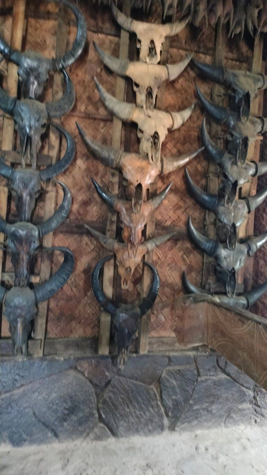 Village Heart Homestay w/ Guided Tours, Nagaland - Nagaland, Longwa photo 5