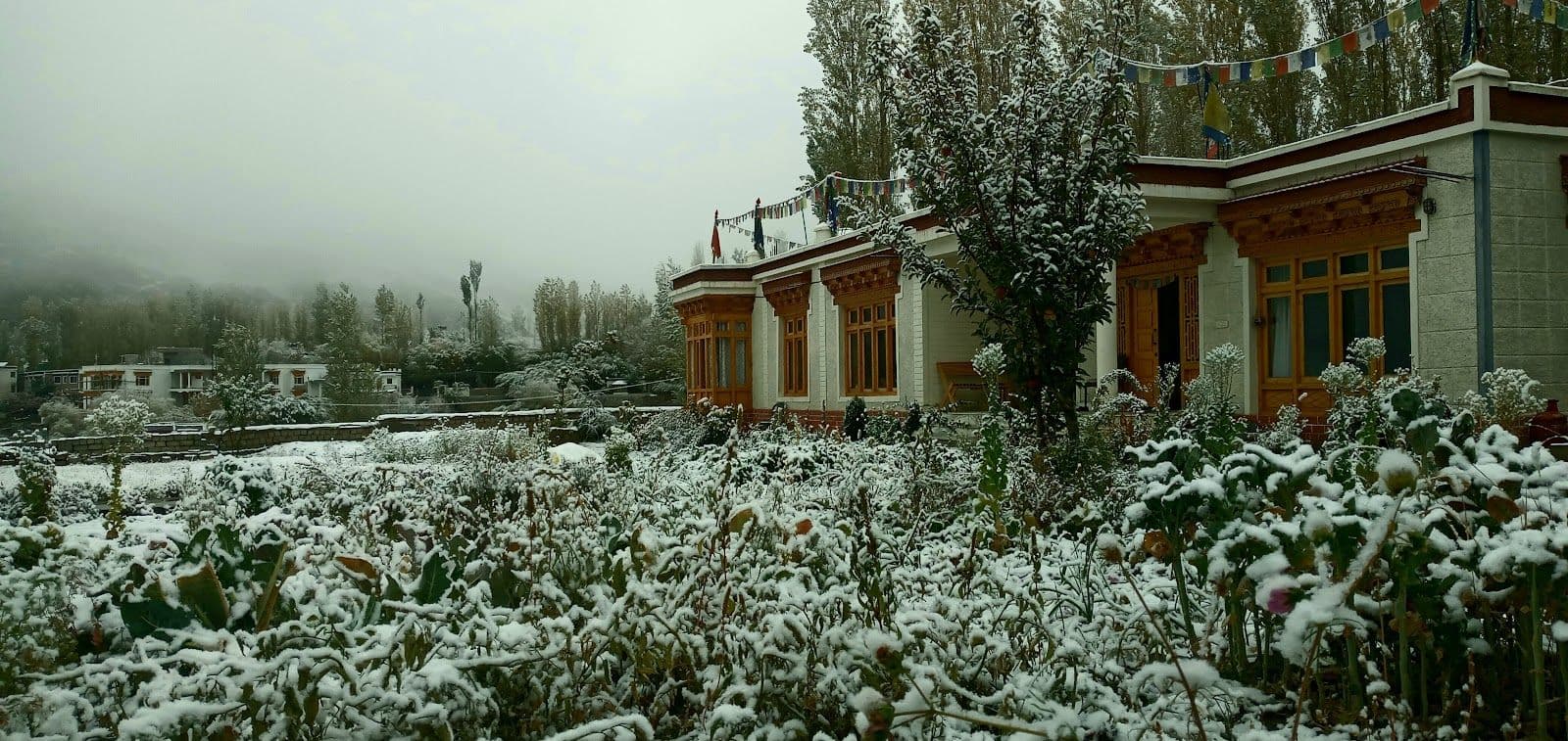 Homestay w/ Shanti Stupa Views & Meals, Ladakh in Leh, Ladakh 1