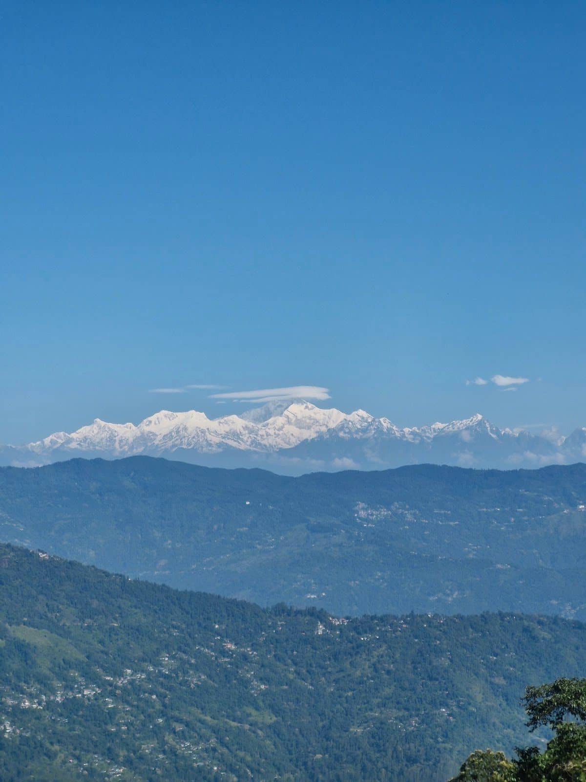 5BR tea estate vila, Kanchenjunga views & yummeals - Selpu, Bengal photo 5