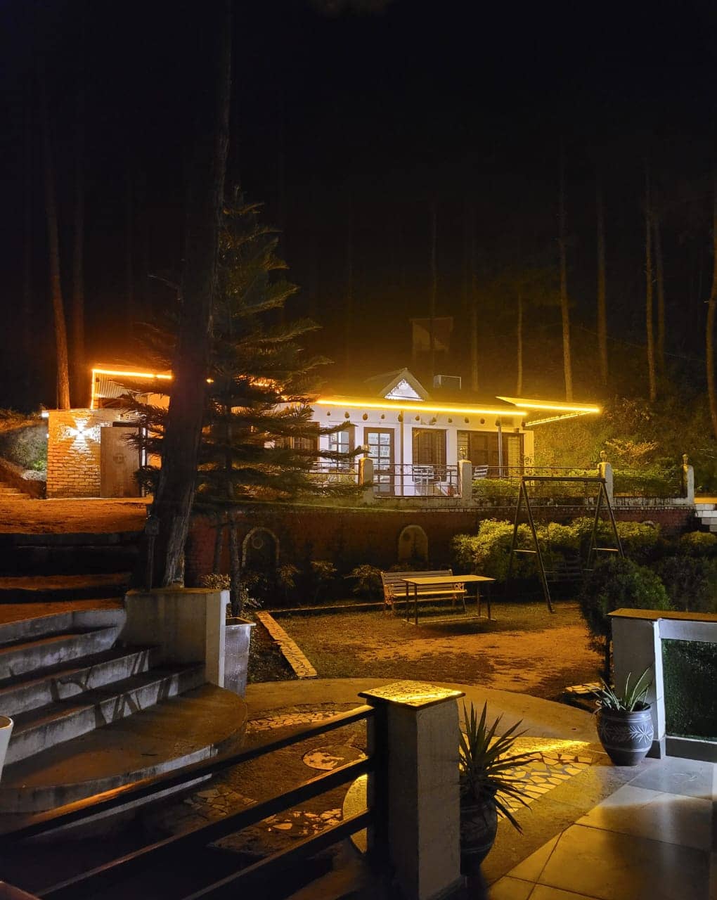 Pine Valley Resort - PVR Kasauli - Kasauli photo 5