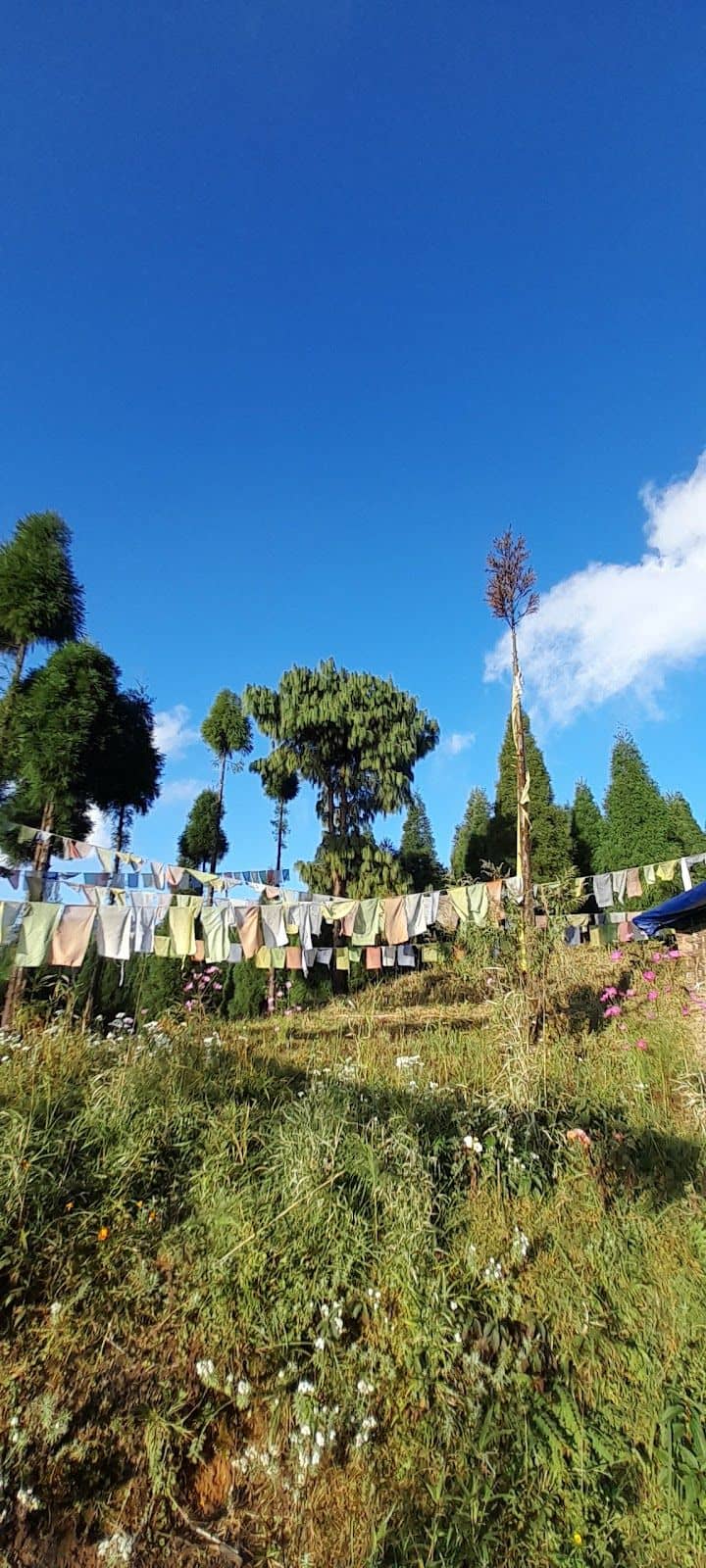 Serene Forest View Homestay in Tukdah - Takdah photo 4