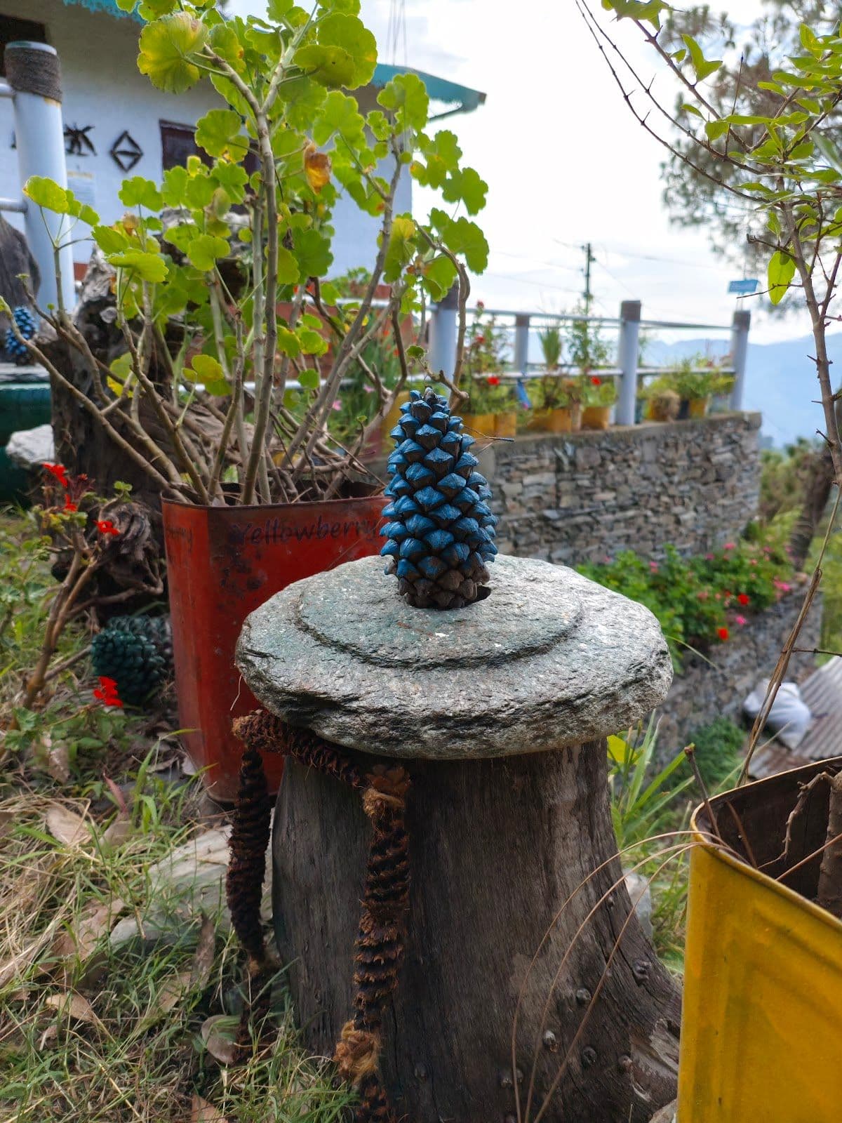 Mountain Homestay w/ Sunset Views, Uttarakhand in Bhatkot, Uttarakhand 1