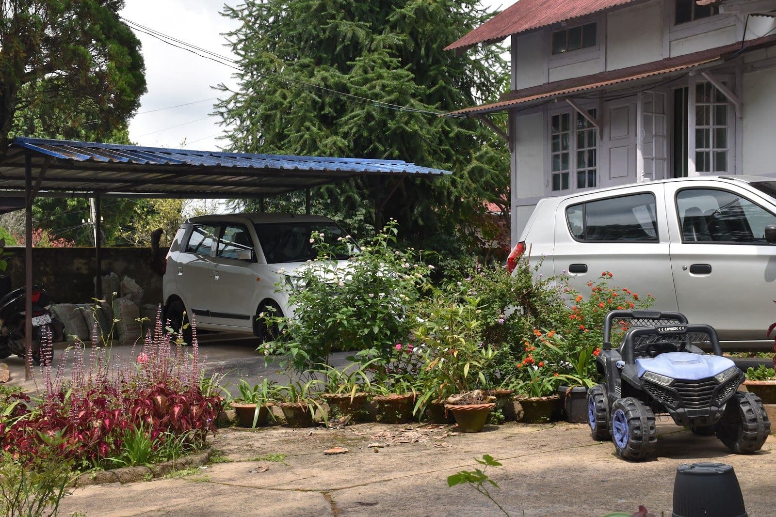 Shillong Forest Retreat: Pine Trees, Nature Walks in Shillong 1