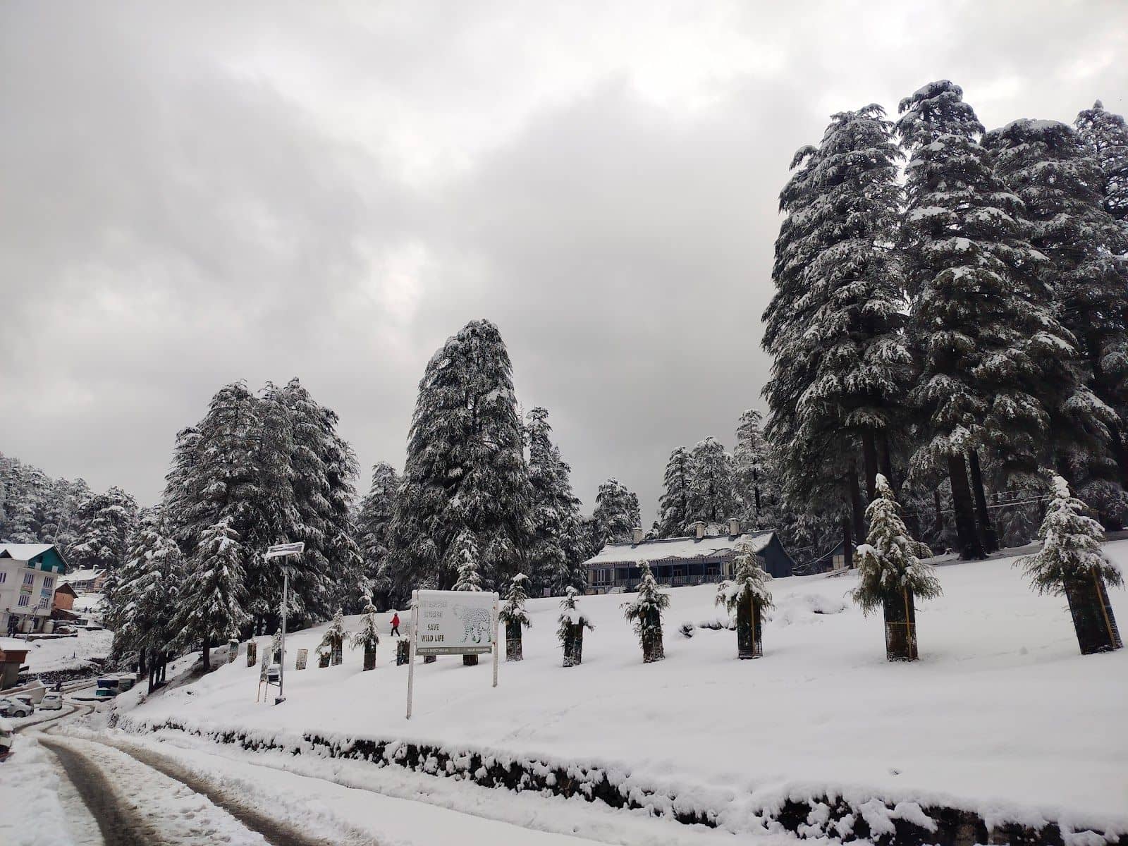 Paragliding Homestay w/ Mountain Views, HP - Khajjiar, HP photo 4